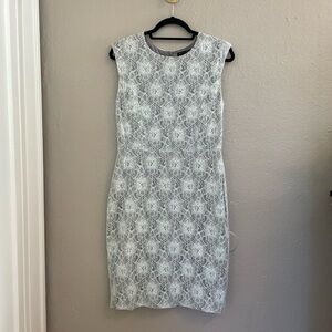 Banana Republic Lace Sheath Dress